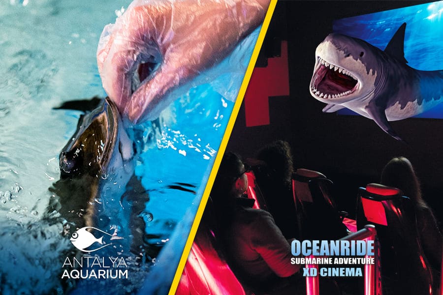 Aquarium + XD Cinema