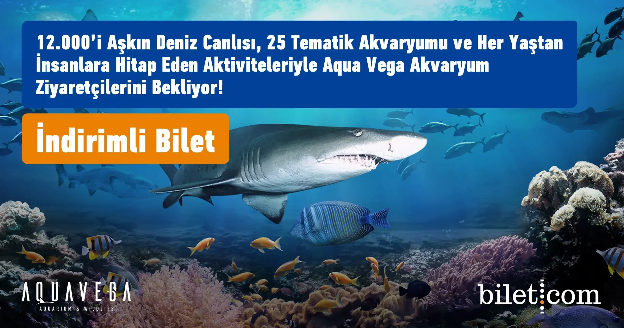 Aqua Vega Akvaryum