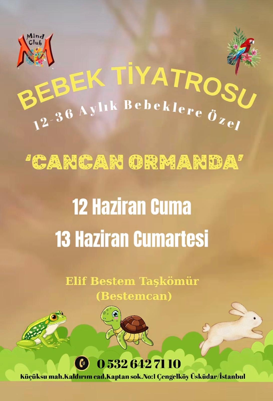 BEBEK TİYATROSU (CAN CAN ORMANDA)