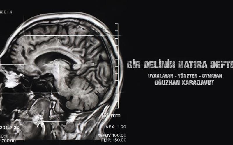 Bir Delinin Hatıra Defteri – Oğuzhan Karadavut