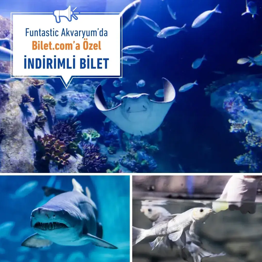 Funtastic Aquarium İzmir
