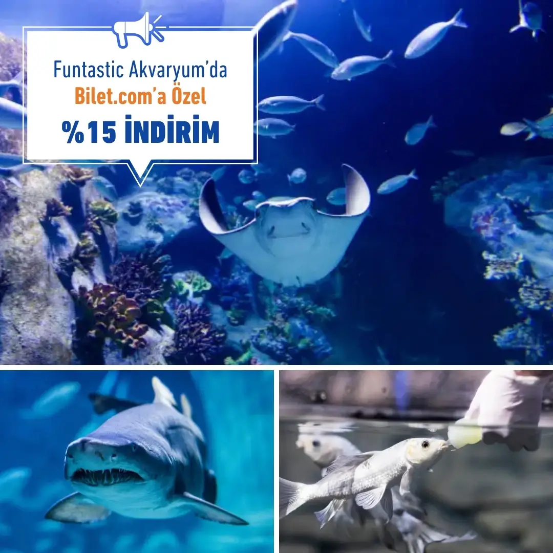 Funtastic Aquarium İzmir